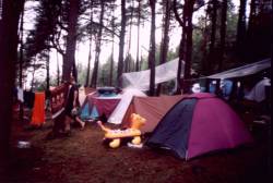 [Playwak_2002]
